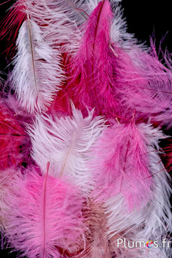 Struzzo barbules - 8-15 cm - rosso